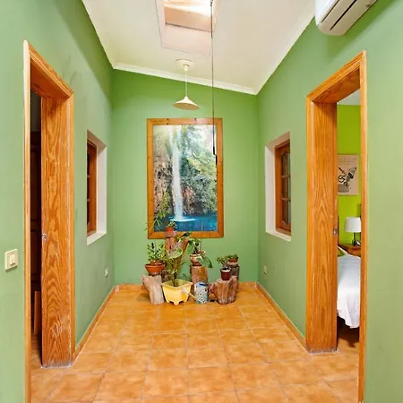 Tropical فيلة *